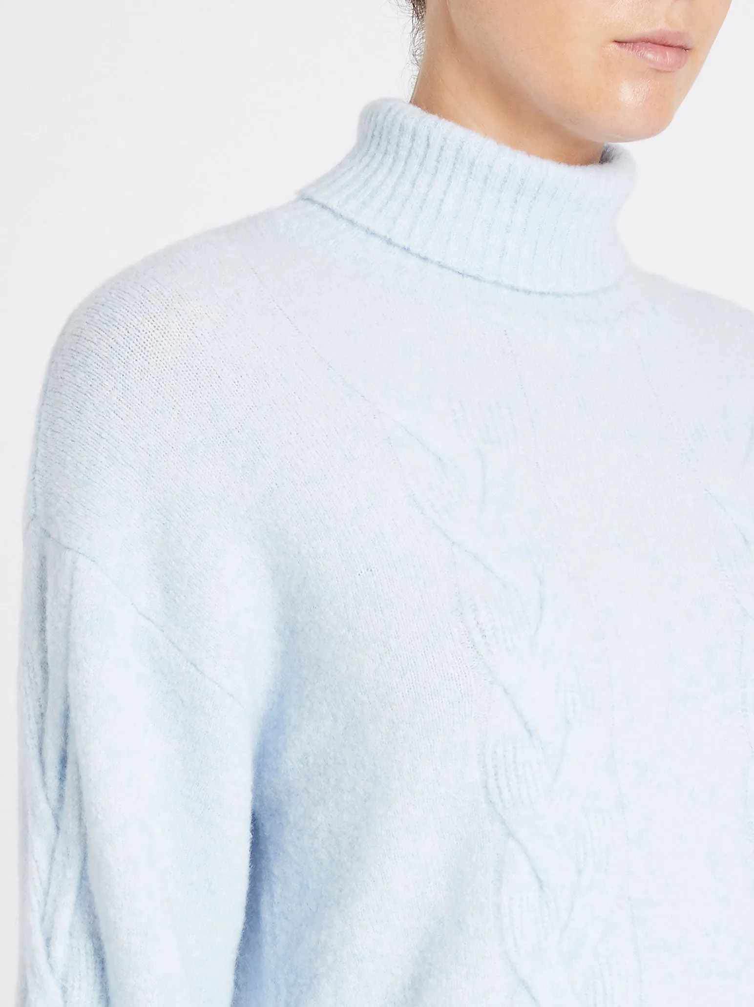 Chow Turtleneck Sweater