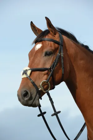 Collegiate Syntovia   Padded Raised Figure 8 Bridle