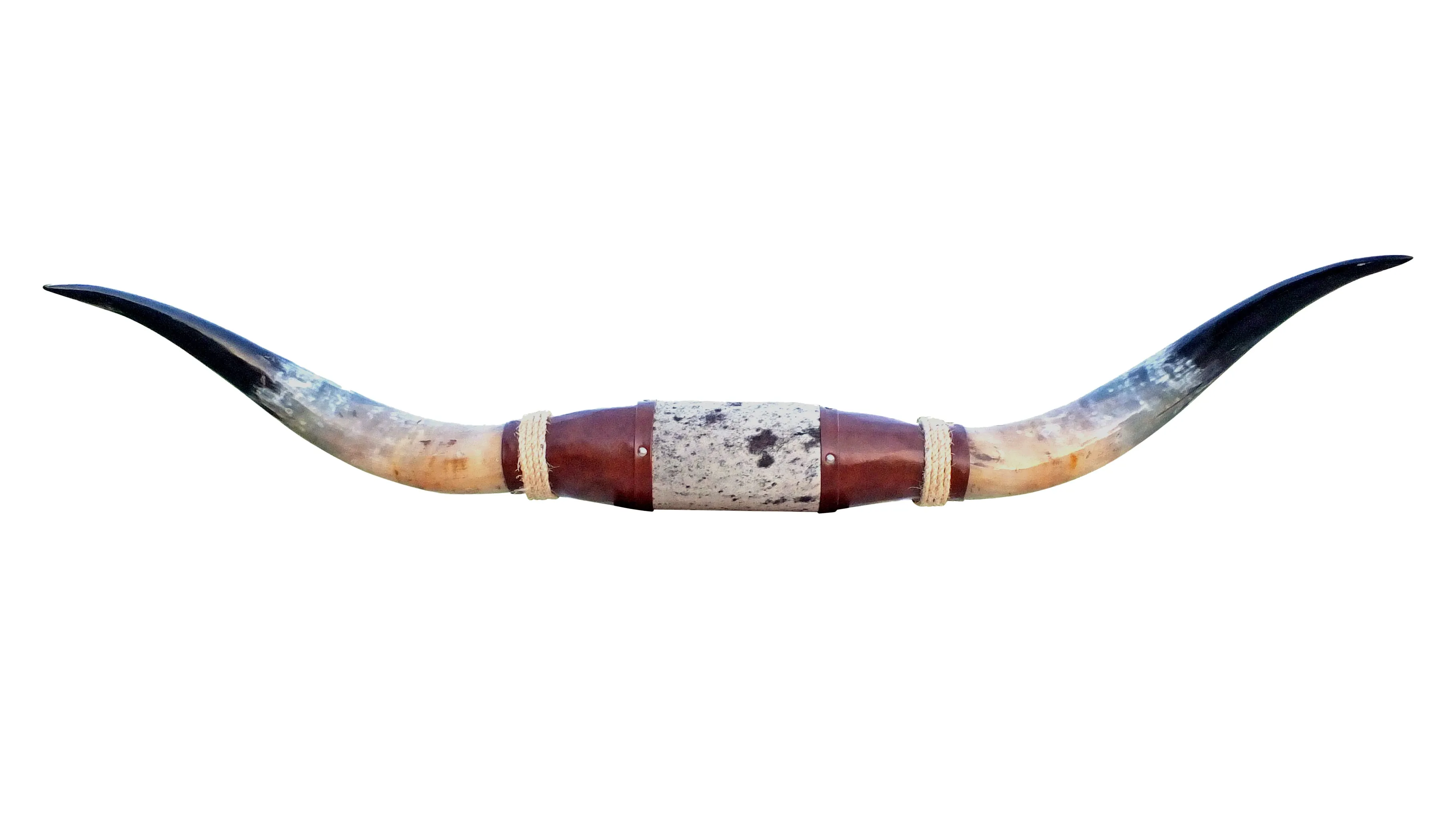 Genuine Mounted Polished Steer Horns - 5' Long