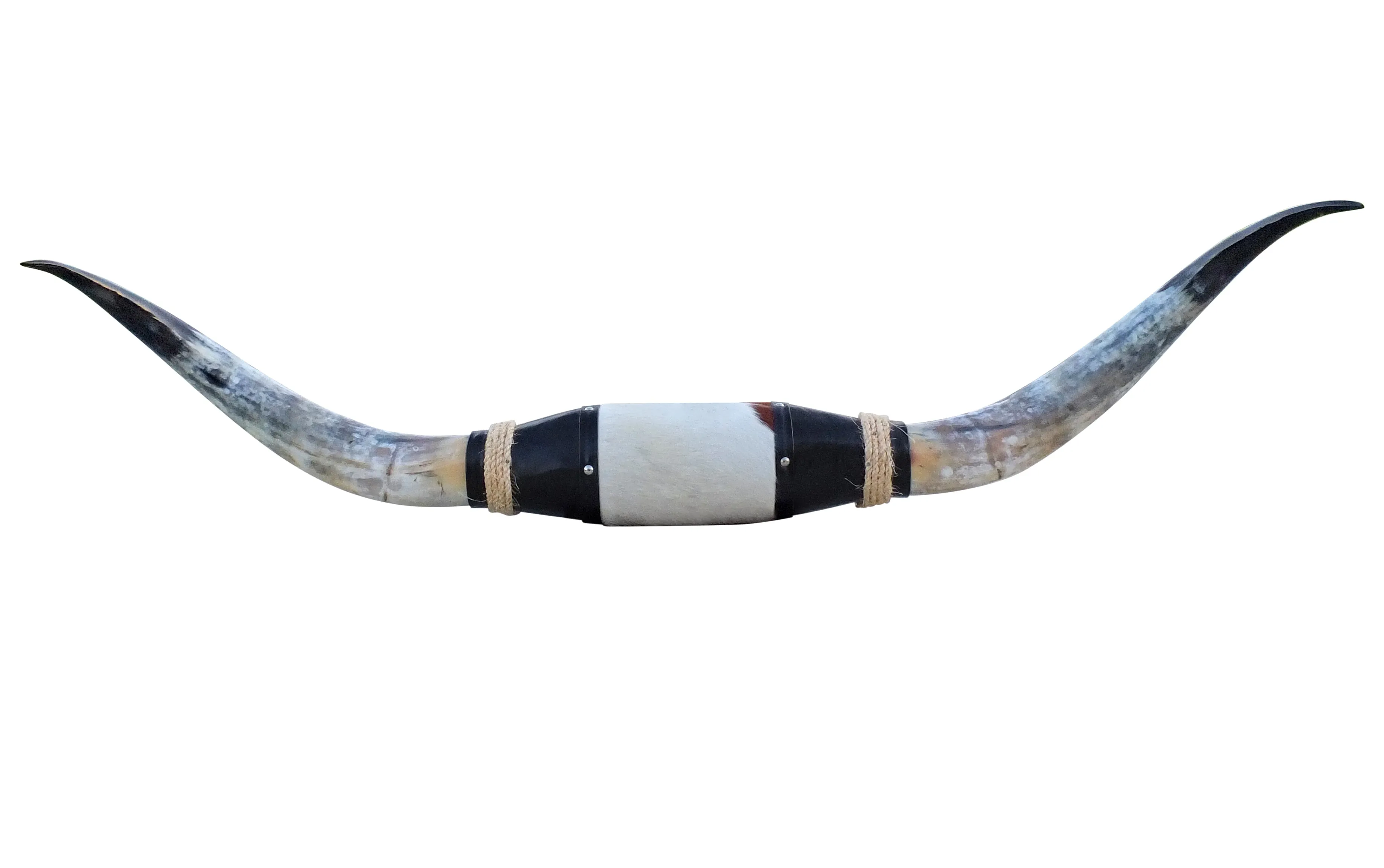 Genuine Mounted Polished Steer Horns - 5' Long