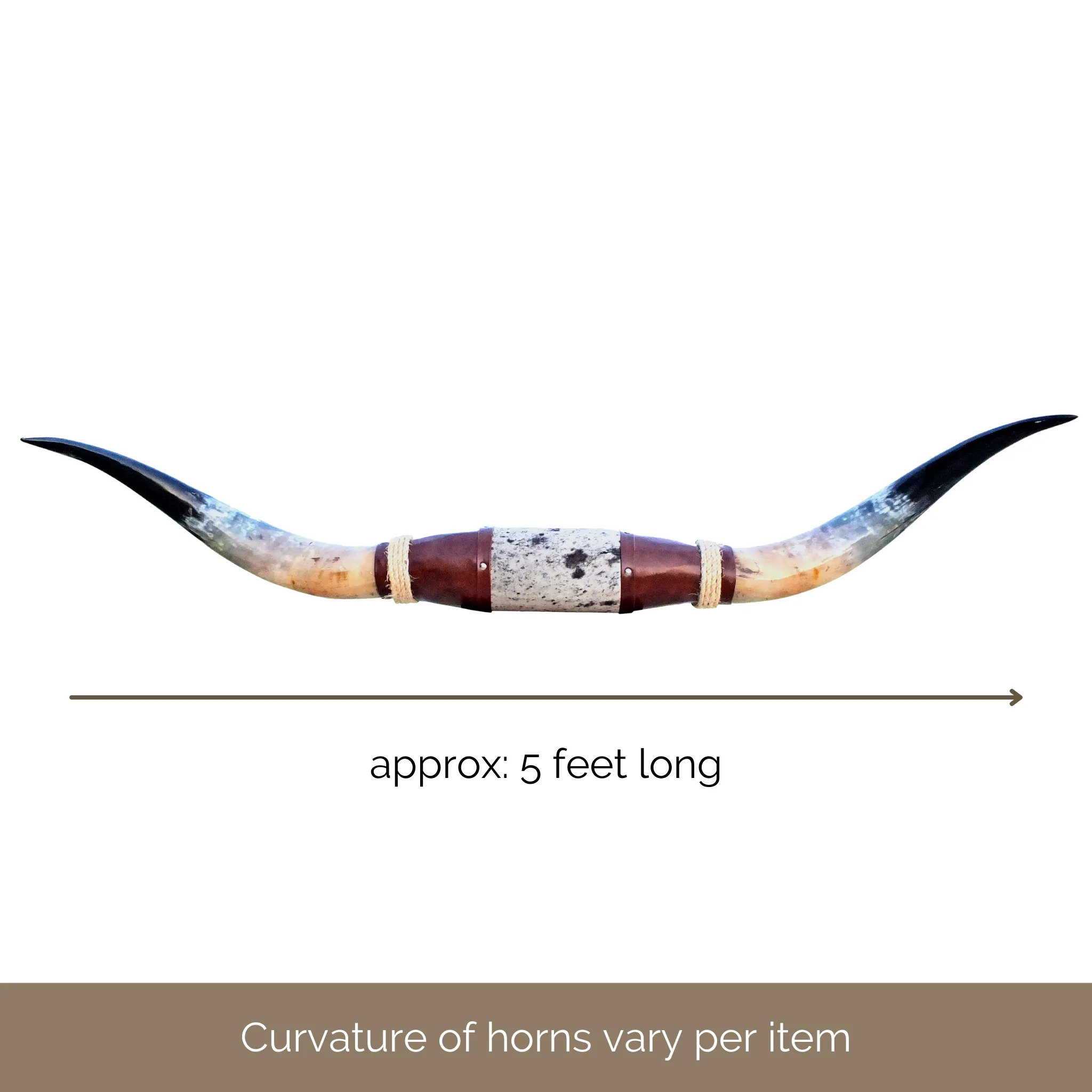 Genuine Mounted Polished Steer Horns - 5' Long